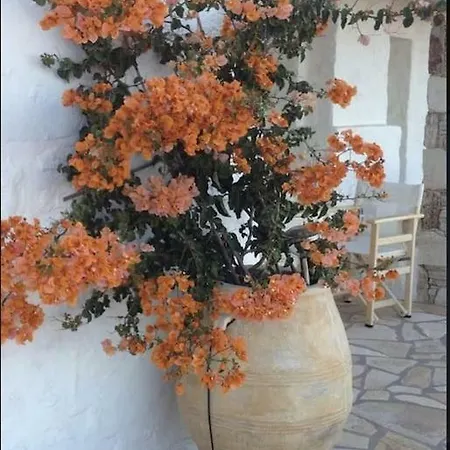 Sunny Guesthouses * Ambelas